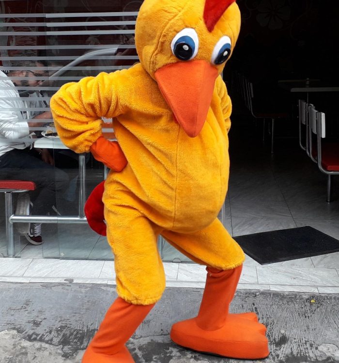 No lastimen al pollo